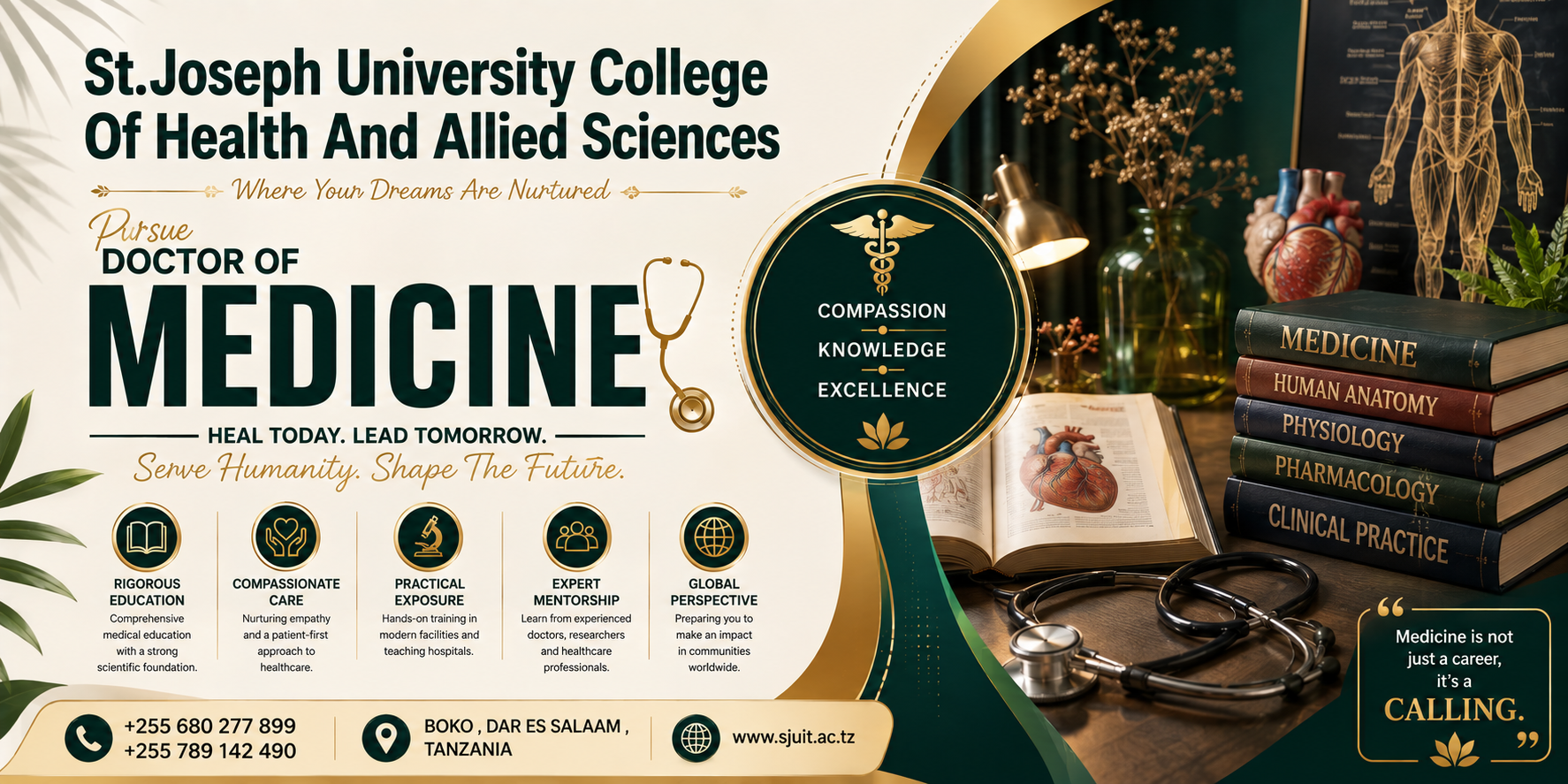 Degree Medicine